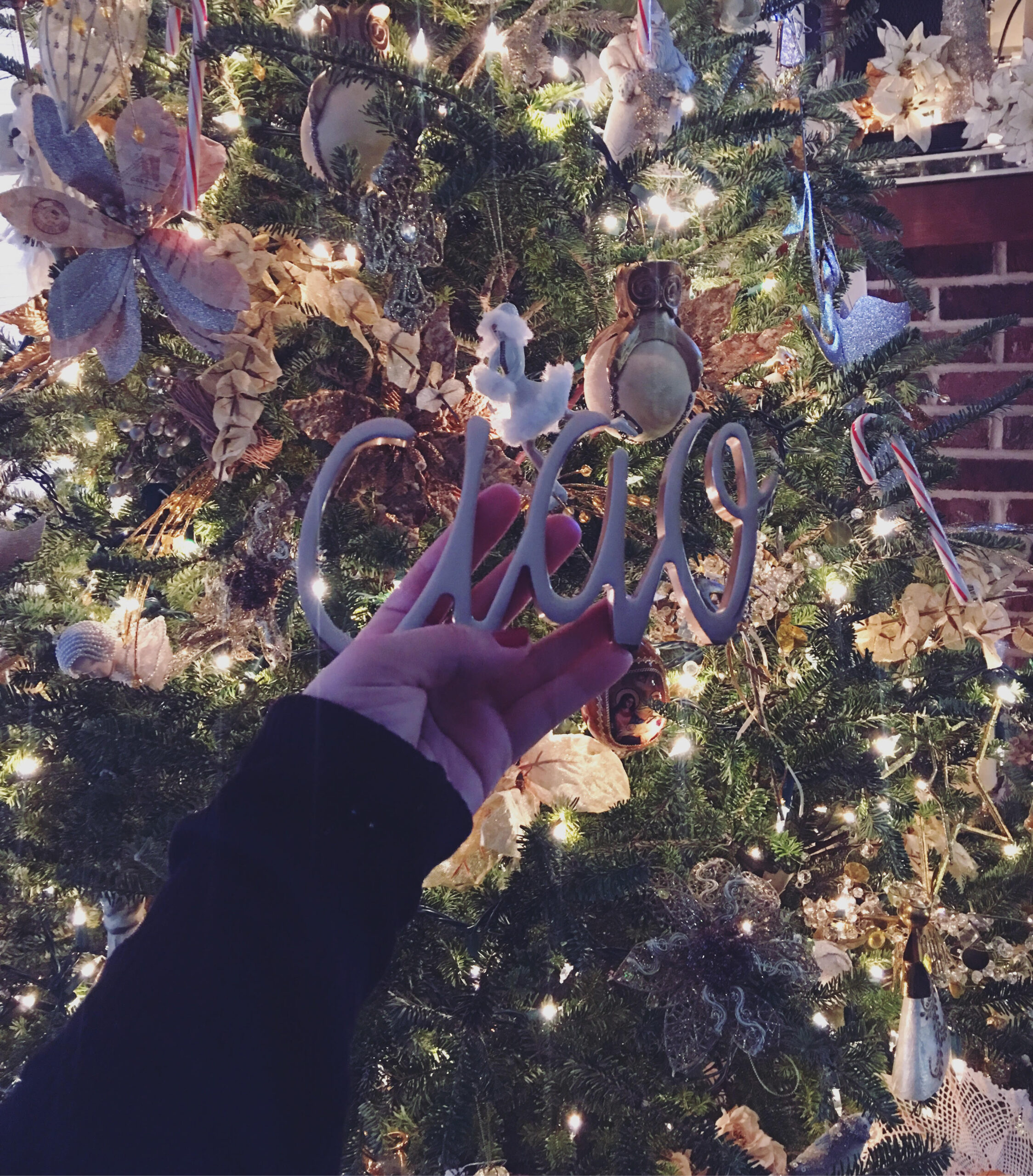 Placing a Christmas ornament on the tree