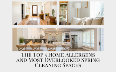 The Top 5 Home Allergens and Most Overlooked Spring Cleaning Spaces