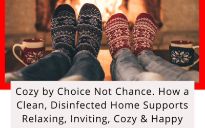 Cozy by Choice not Chance. How a Clean, Disinfected Home Supports Relaxing, Inviting, Cozy & Happy Living This Winter